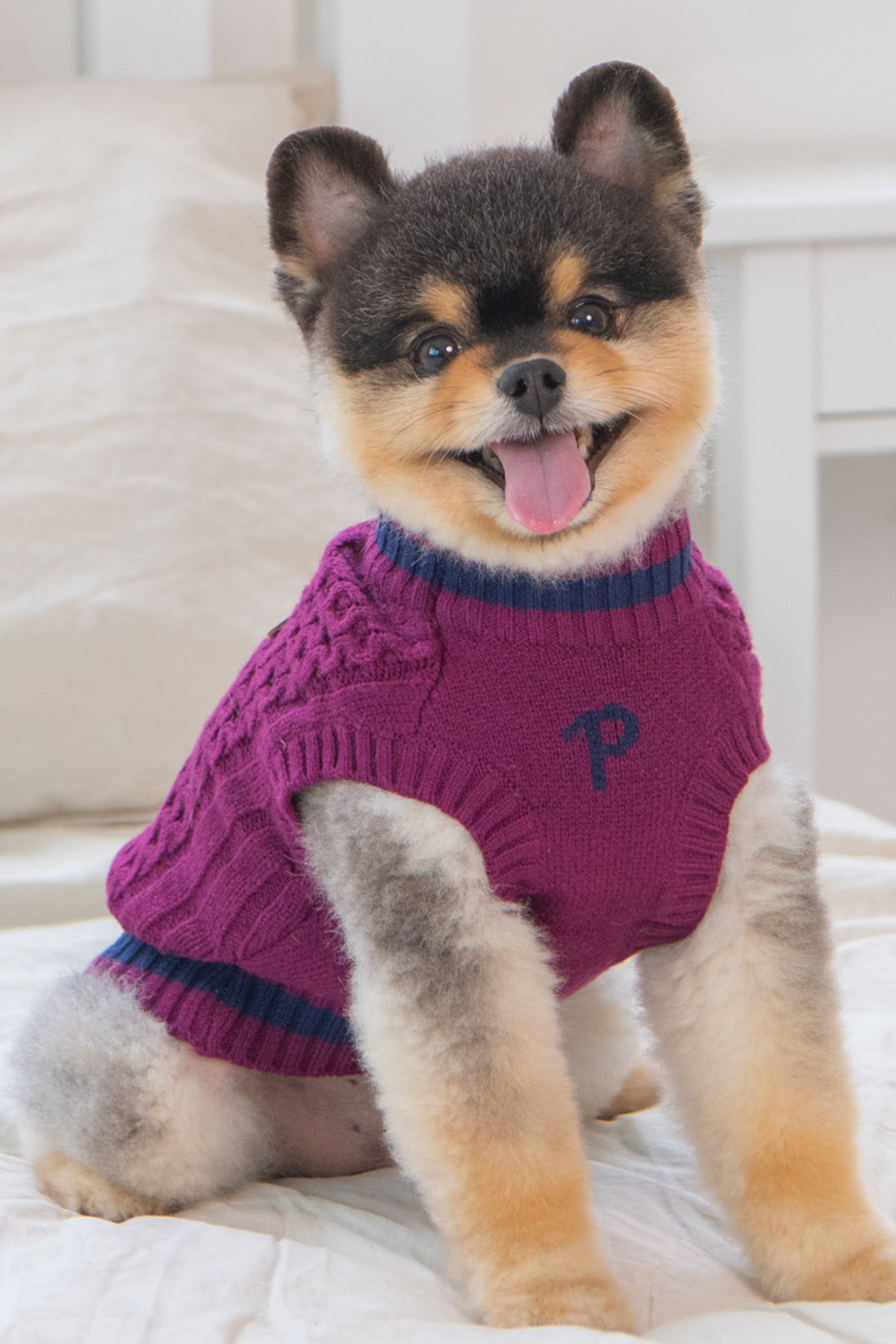 Puppia Fannar Örgü Köpek Kazağı Bordo 