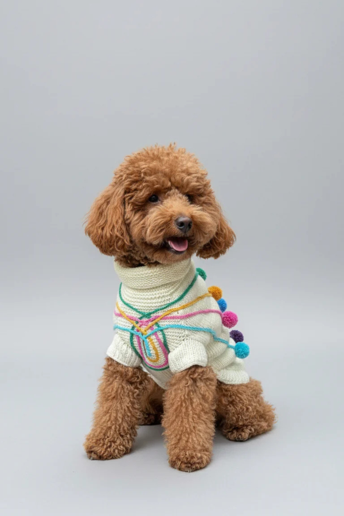 My Petit Paw Ponponlu Köpek Kazak