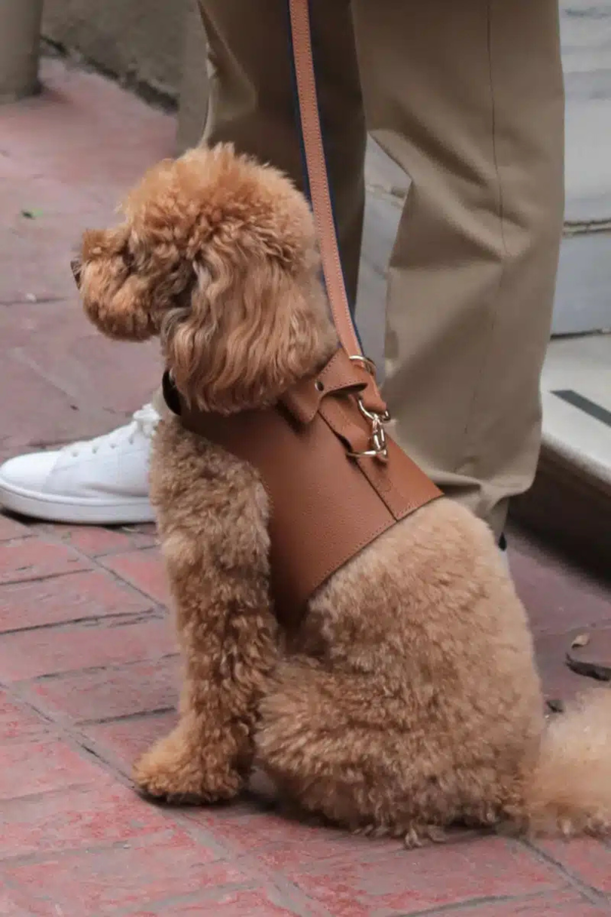 Vest Harness Set In Caramel Brown
