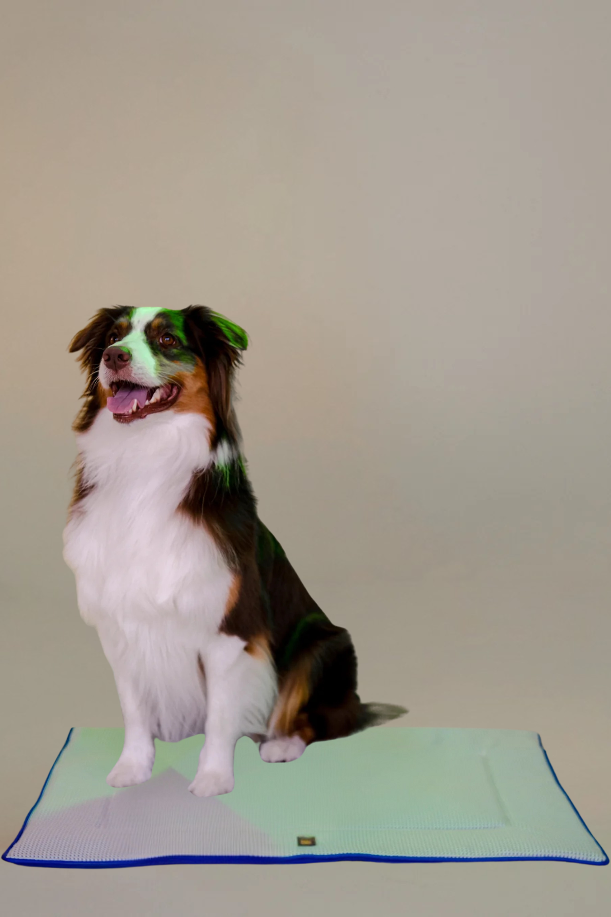 Asky&Erd Travel Bed Marine Blue