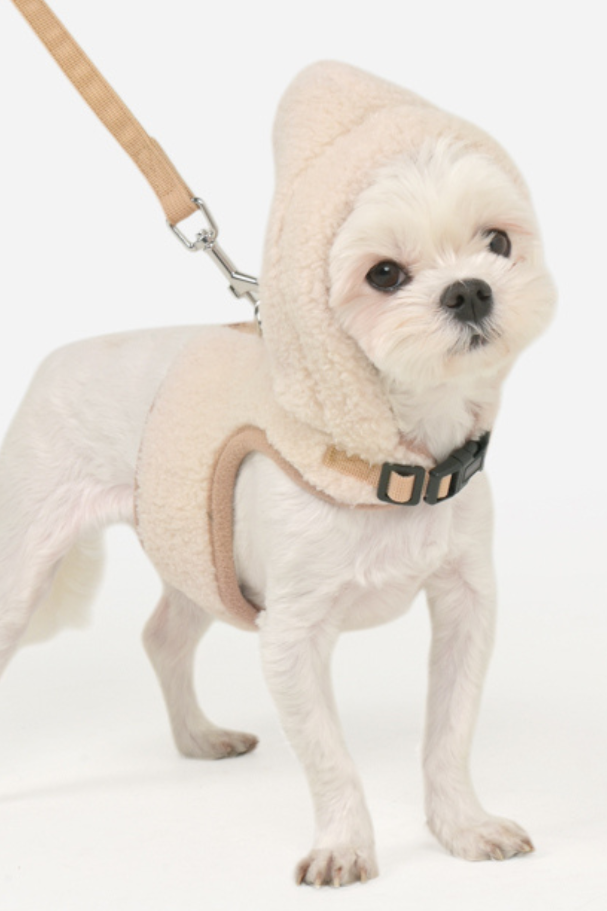 Pinkaholic New York Itzel Pinka Harness Köpek Göğüs Tasması Bej 