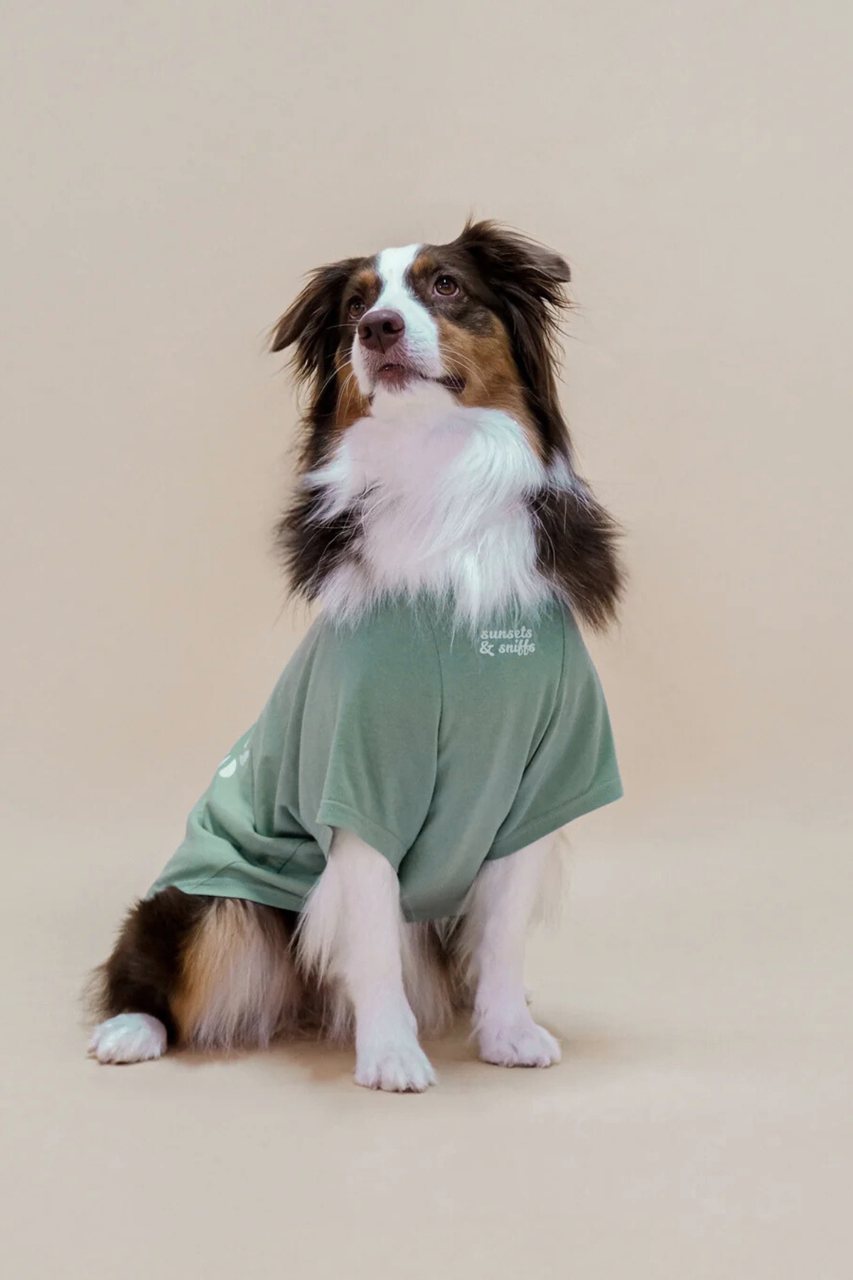 Asky&Erd It’s Just Us Tshirt | Seafoam Mist Köpek Tişört