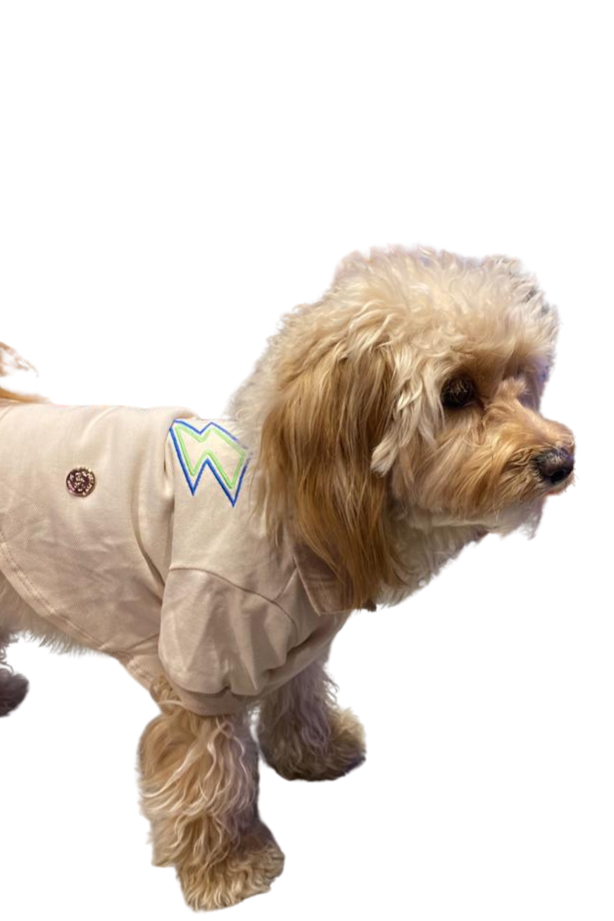 My Petit Paw Bej Flash T-Shirt