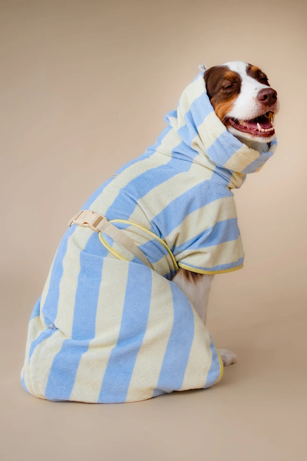 Asky&Erd Soft Rituals Cepli Köpek Kurulama Havlusu Butterscotch Çizgili Pijamalar ve Bornozlar
