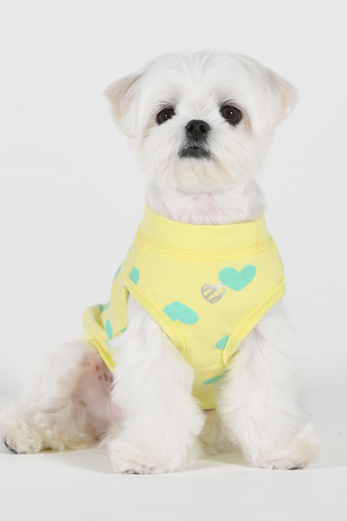 Pinkaholic New York Sonata Of Love Kolsuz T-shirt Sarı