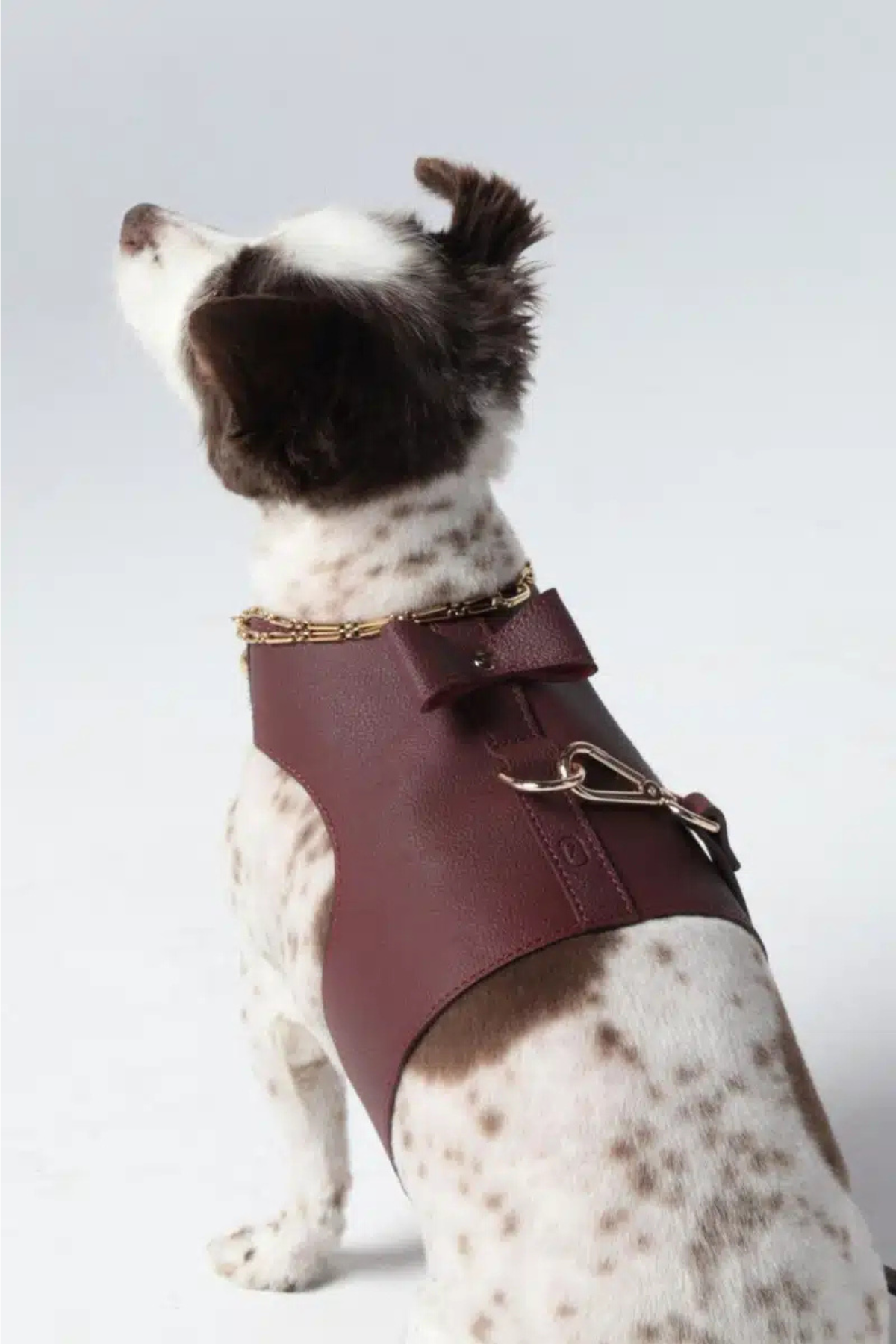 Zoe Pet Atelier Vest Harness Köpek Göğüs Tasması Bordo