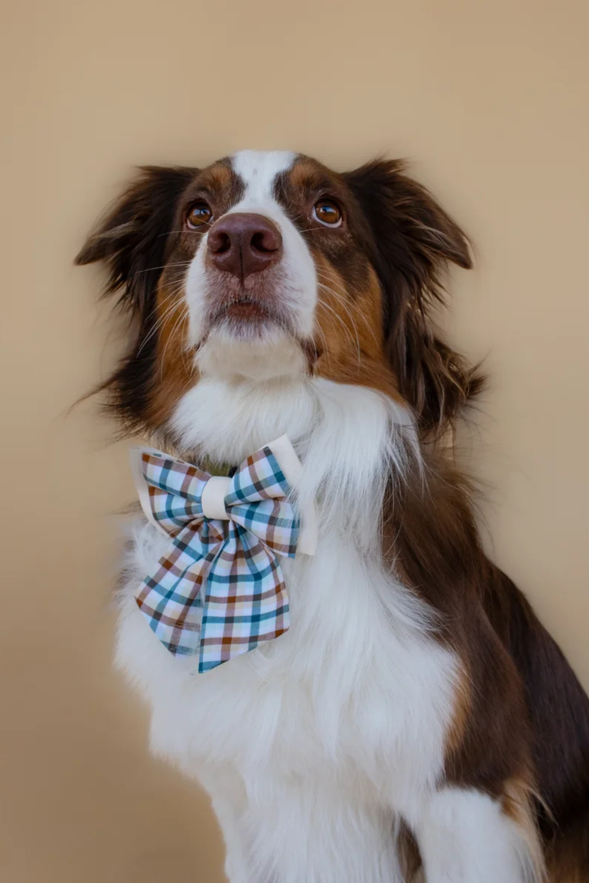 Asky&Erd Ribbon Bow Cedar Plaid Papyon