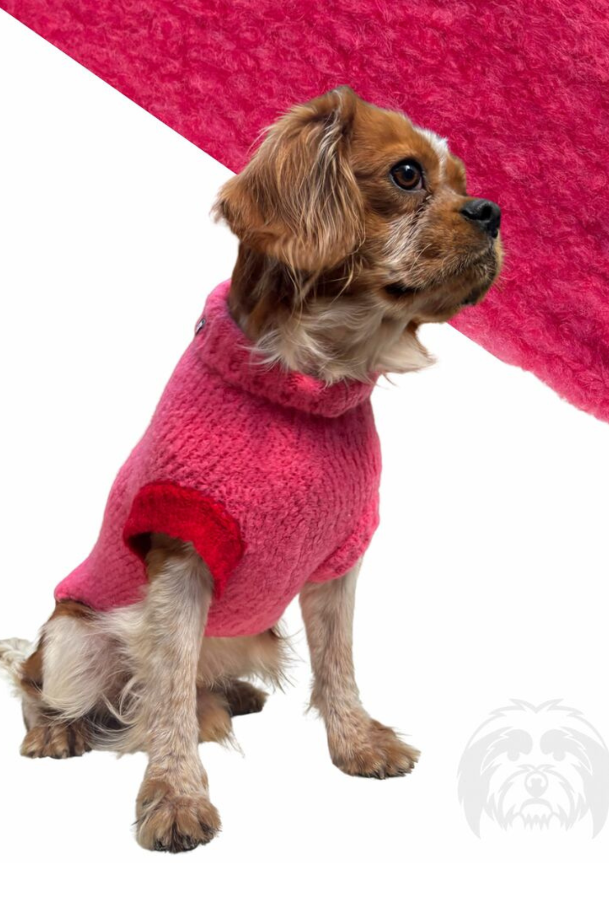 Suchkin Hole Pinkest (New) Köpek Kazağı