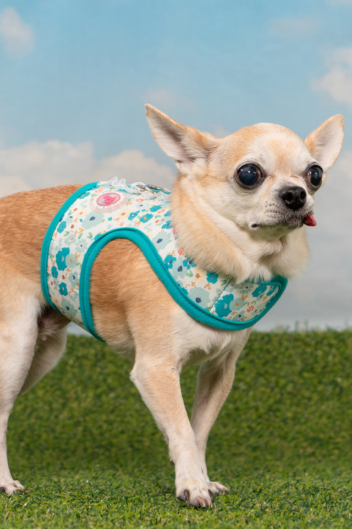 Pinkaholic New York Amabel Harness J Köpek Göğüs Tasması Mavi 