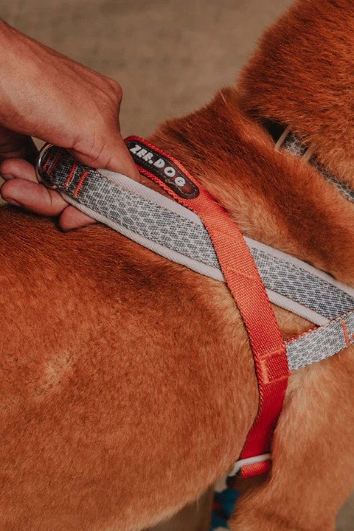 Zee.Dog Reebok x Zee.Dog Suede SofterWalk Göğüs Tasması