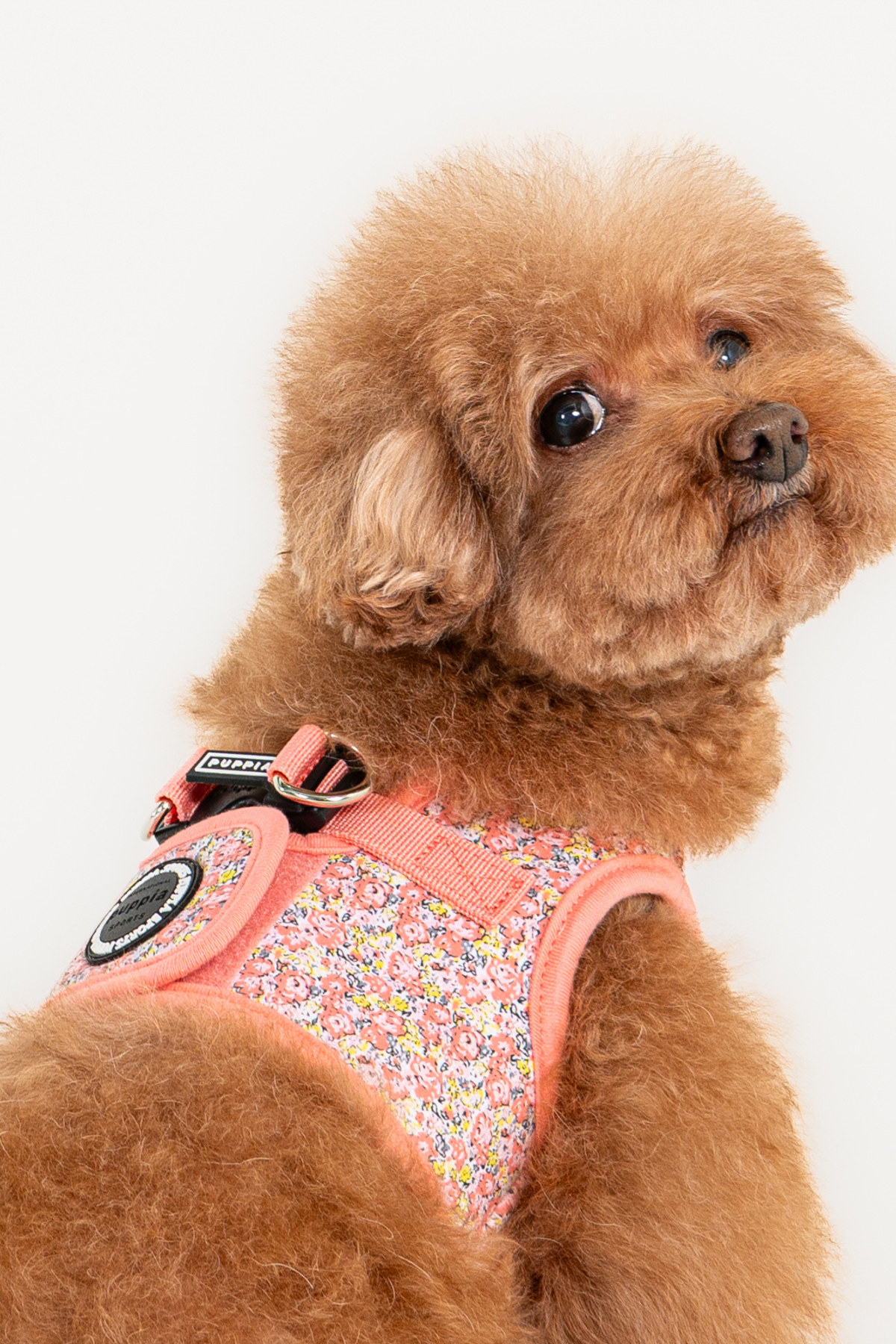 Kealoha Harness B Köpek Göğüs Tasması Pembe 