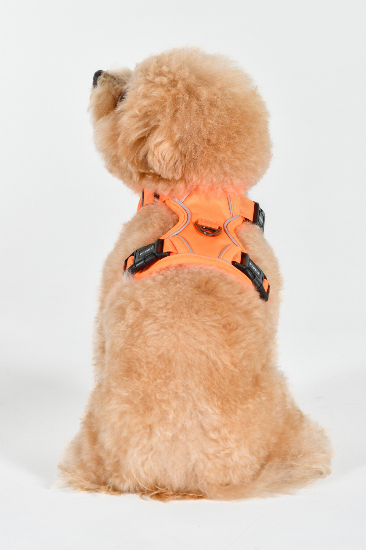 Puppia Neon Harness H Göğüs Tasması Turuncu 