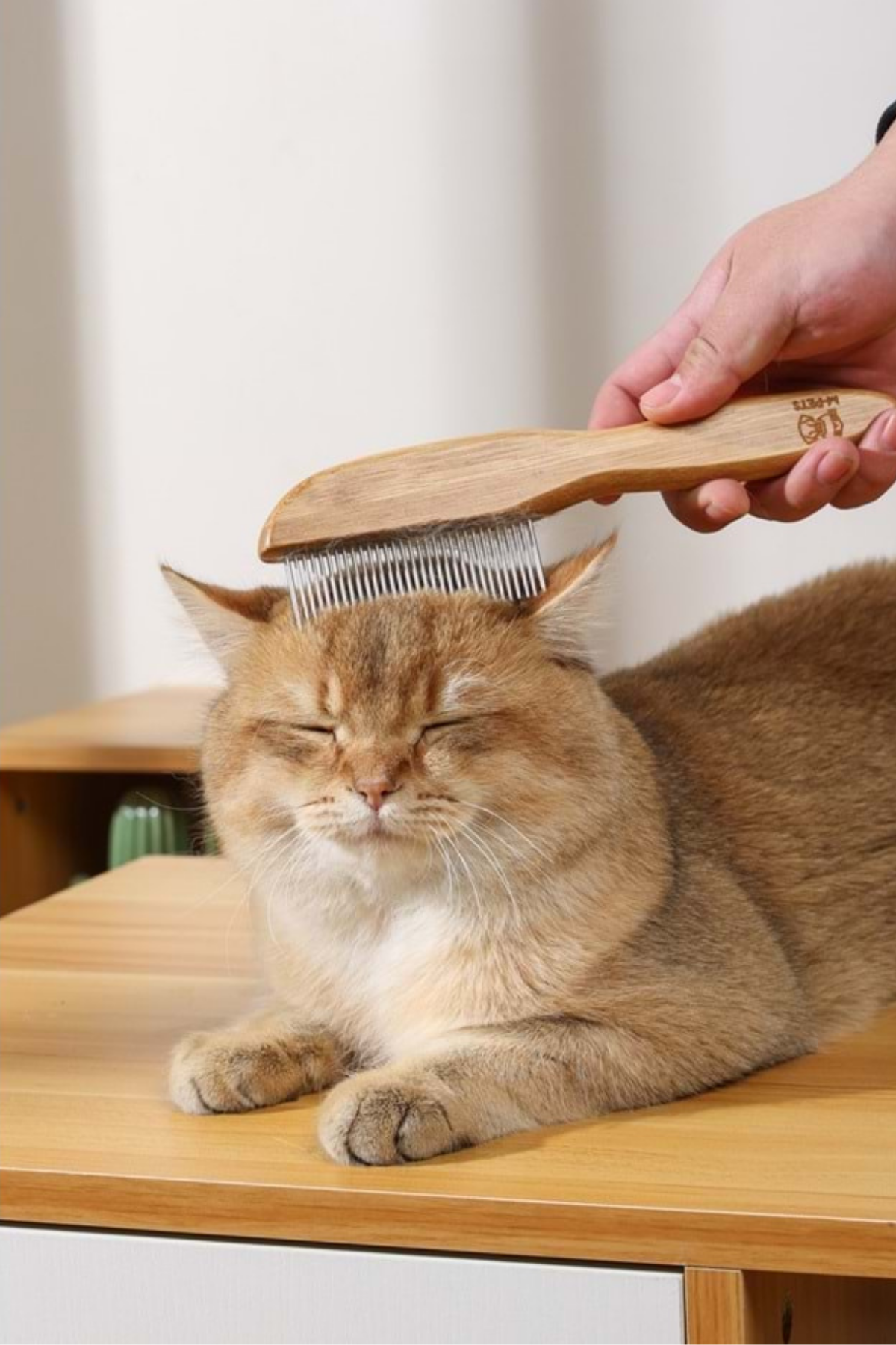 M-Pets Bamboo Köpek - Kedi Tarak