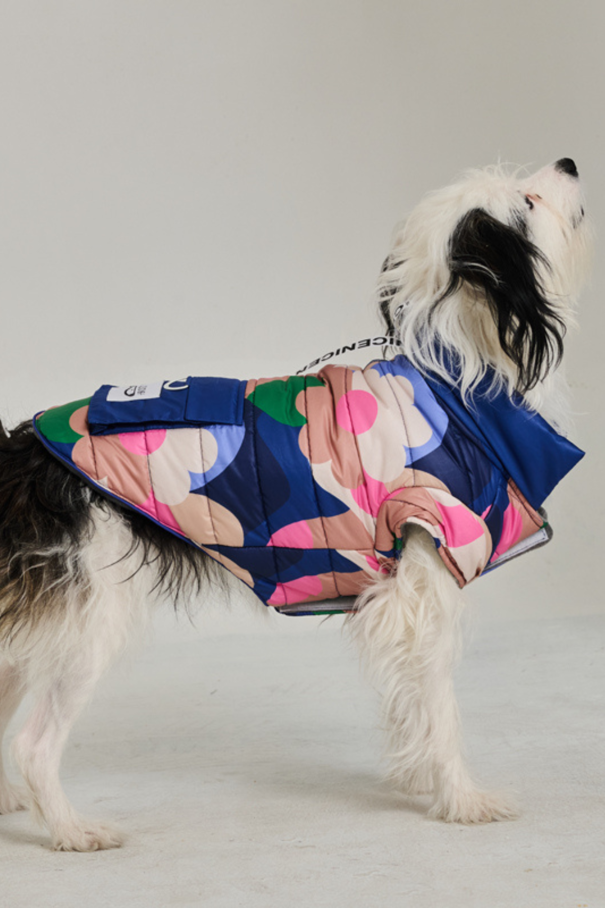 Godoist Köpek Montu Polar - Puffer Series - Flawery
