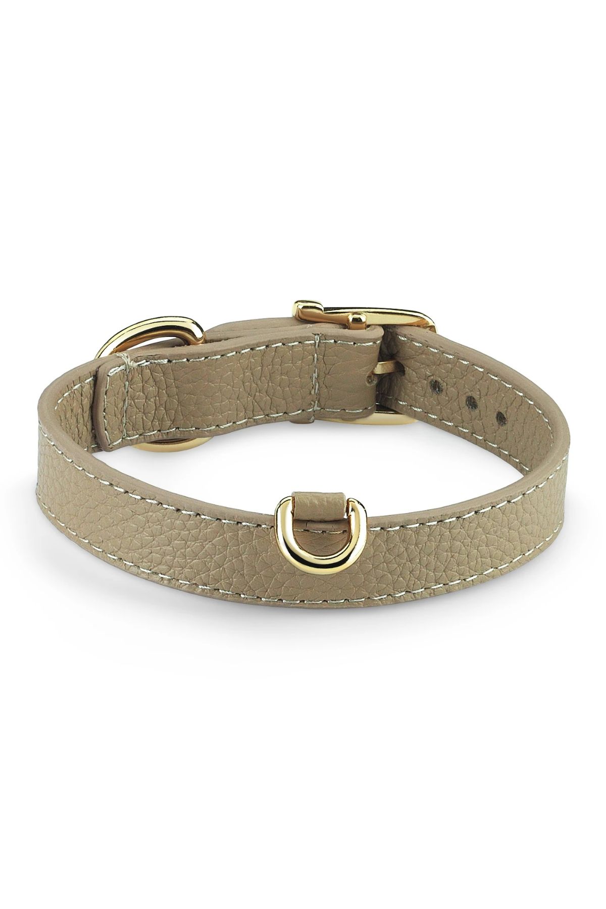 Lupinus Atelier Duke Byssus Köpek Boyun Tasması