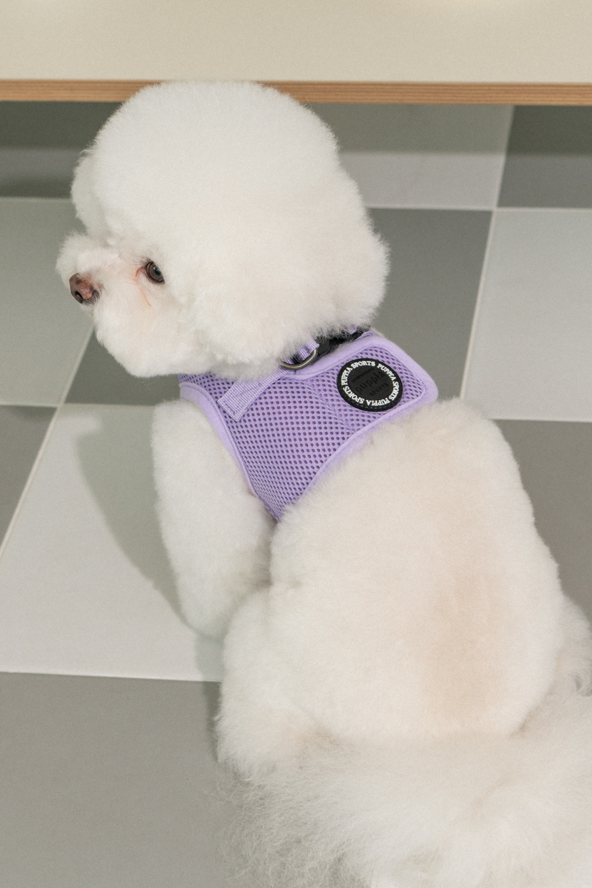 Puppia Soft Vest Köpek Yelek Tasma Lila