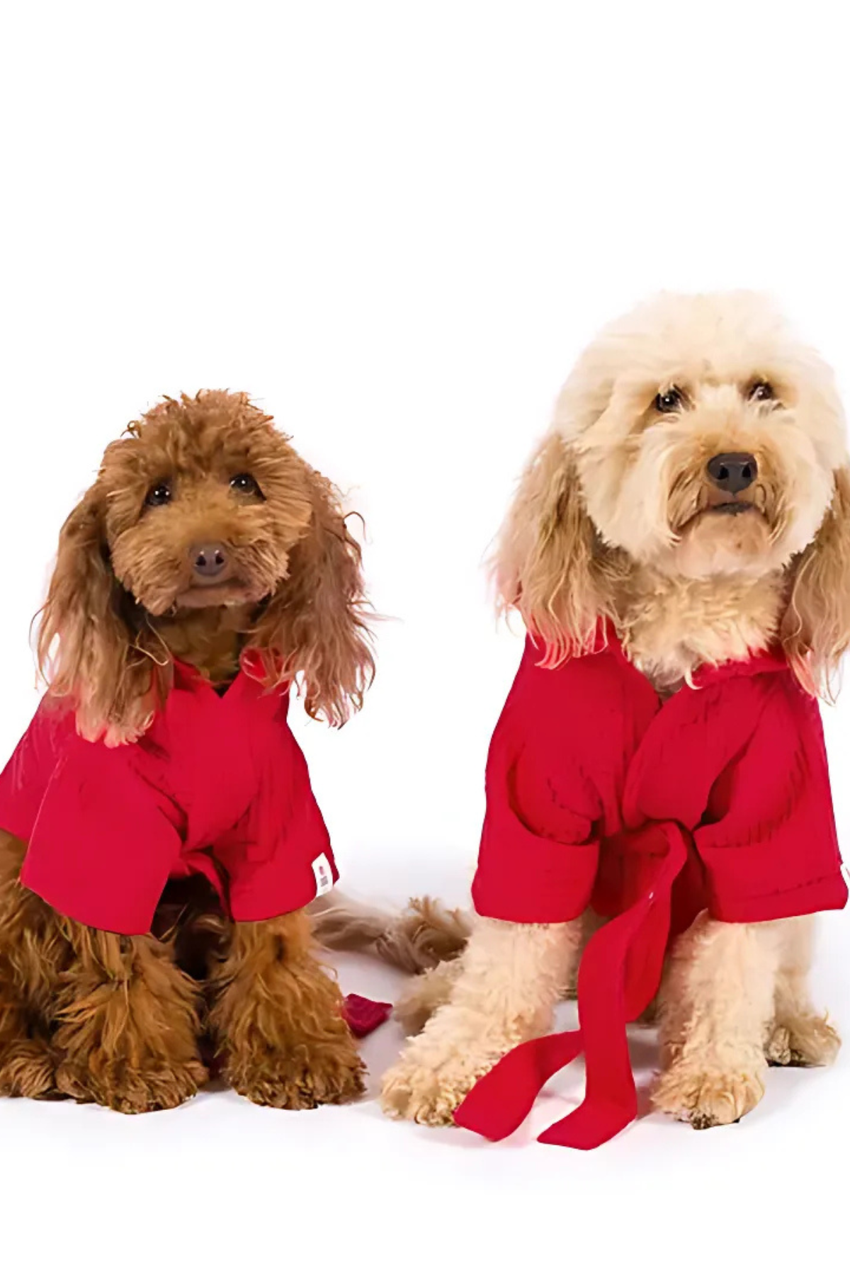 Kajuland Pacific | Waffle Köpek Bornozu Kırmızı