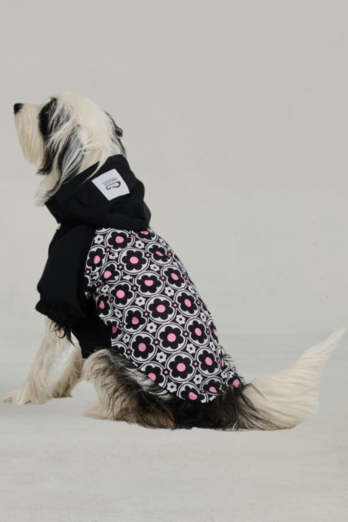 Godoist Köpek Yağmurluk - Raincoat Series - Milla