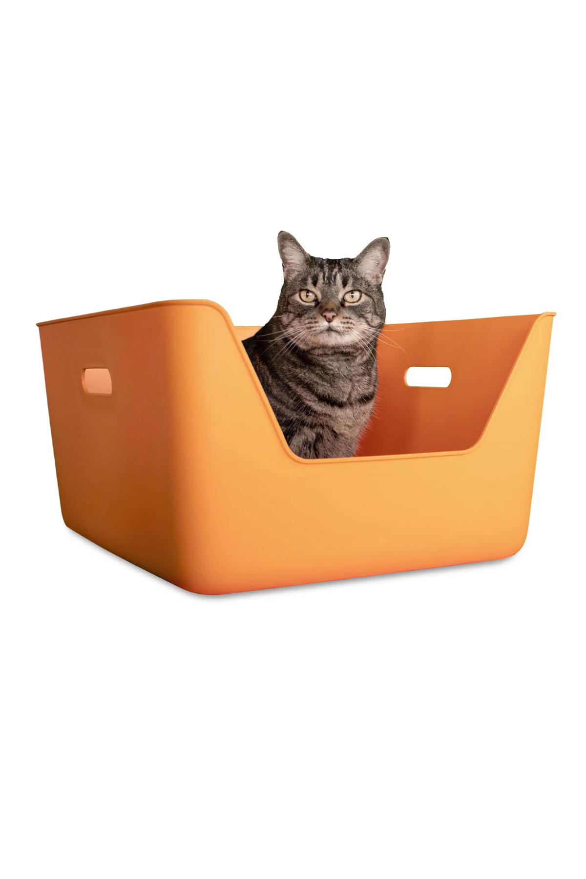 Cansei de Ser Gato - Hijyenik Kedi Kum Kabı - Zee Cat
