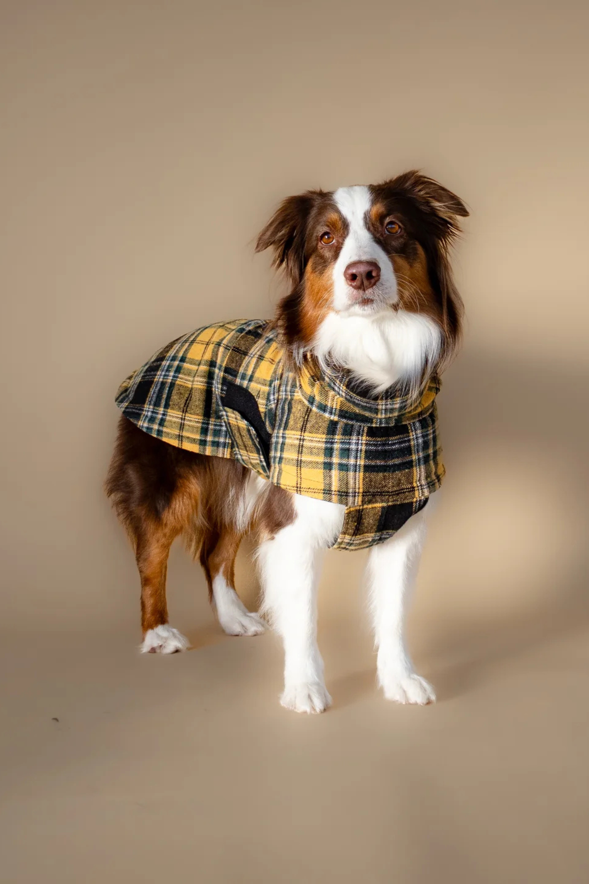 Asky&Erd Chicago Chicago Vest Golden Plaid