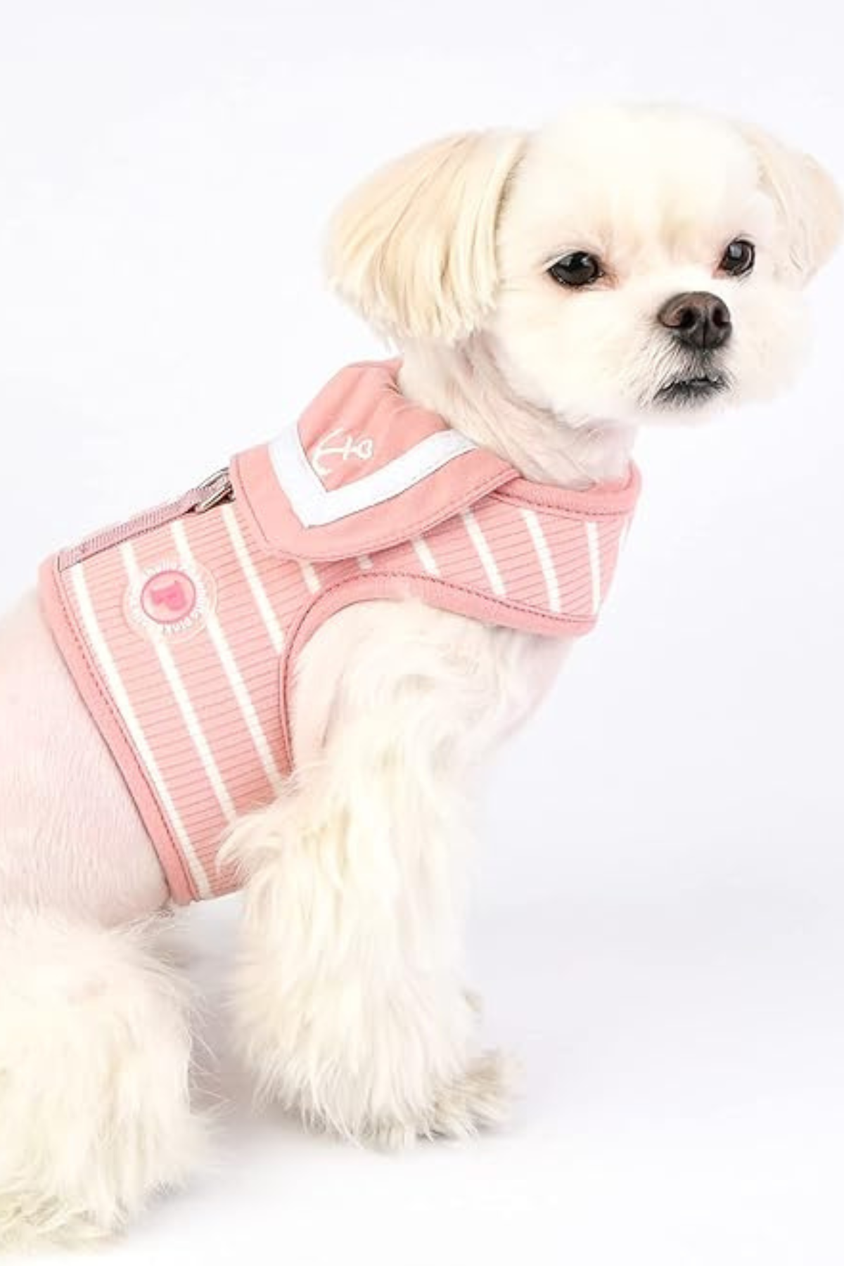 Pinkaholic New York Cordelia Pinka Harness Göğüs Tasması Pembe