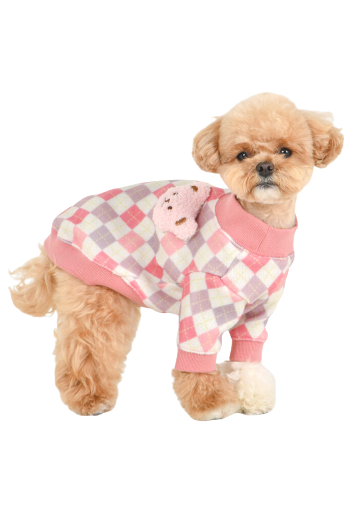 Pinkaholic New York Annika Köpek Kazağı Indian Pink  