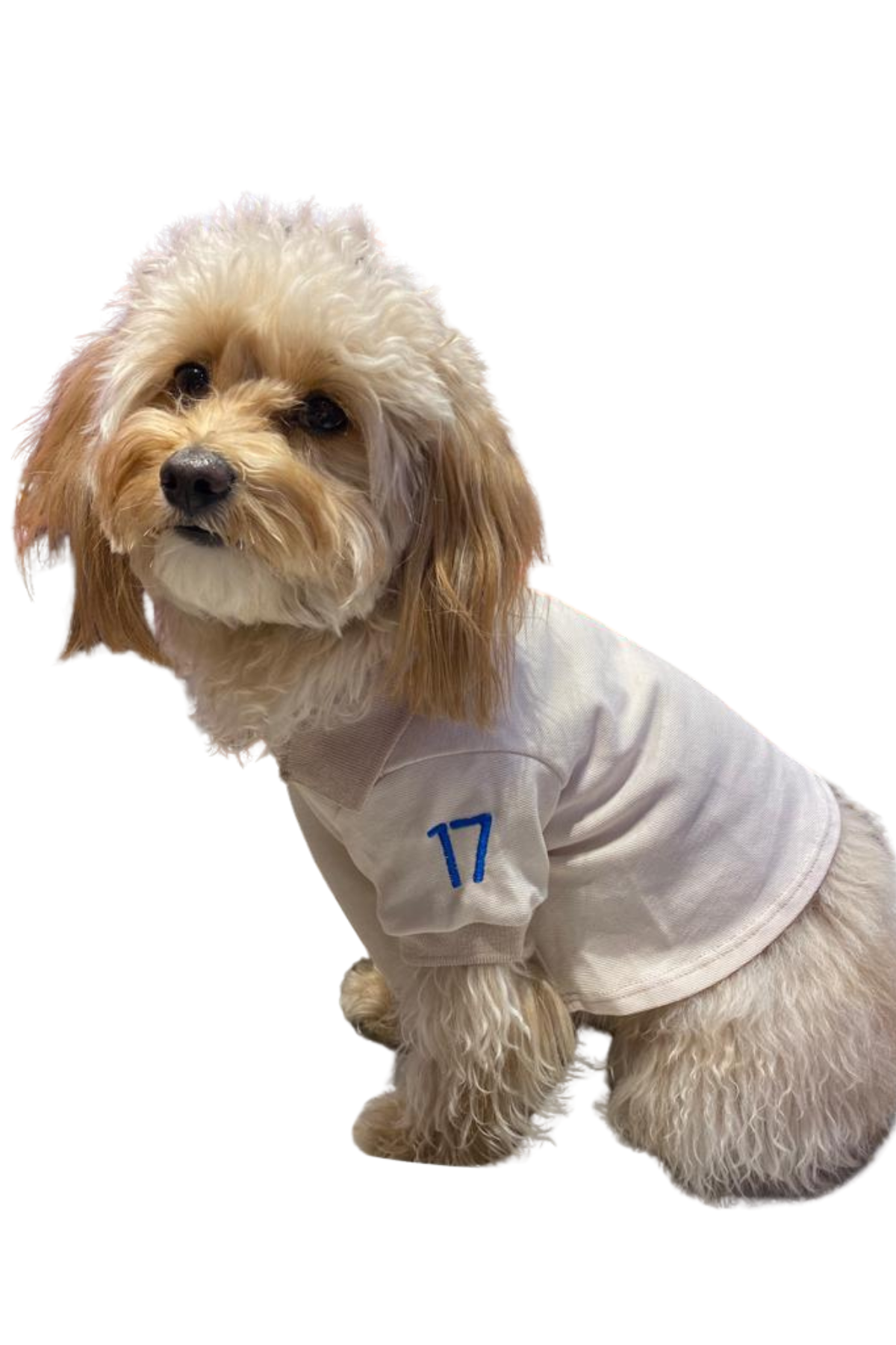 My Petit Paw Bej Flash T-Shirt