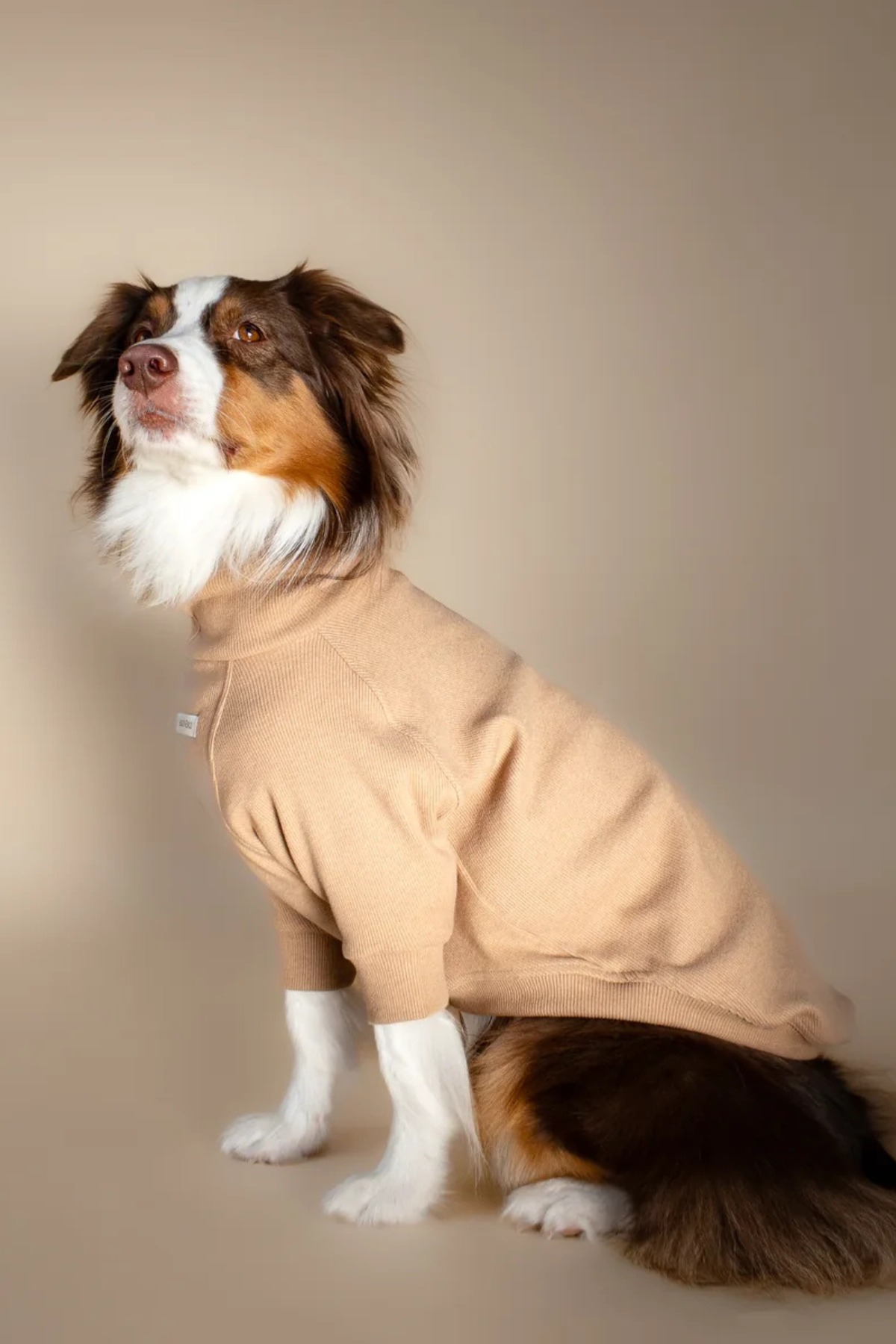 Asky&Erd Turtleneck | Oat Milk