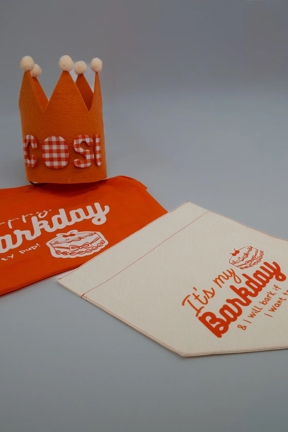 Asky&Erd Barkday Club Köpek Bandana | Turuncu