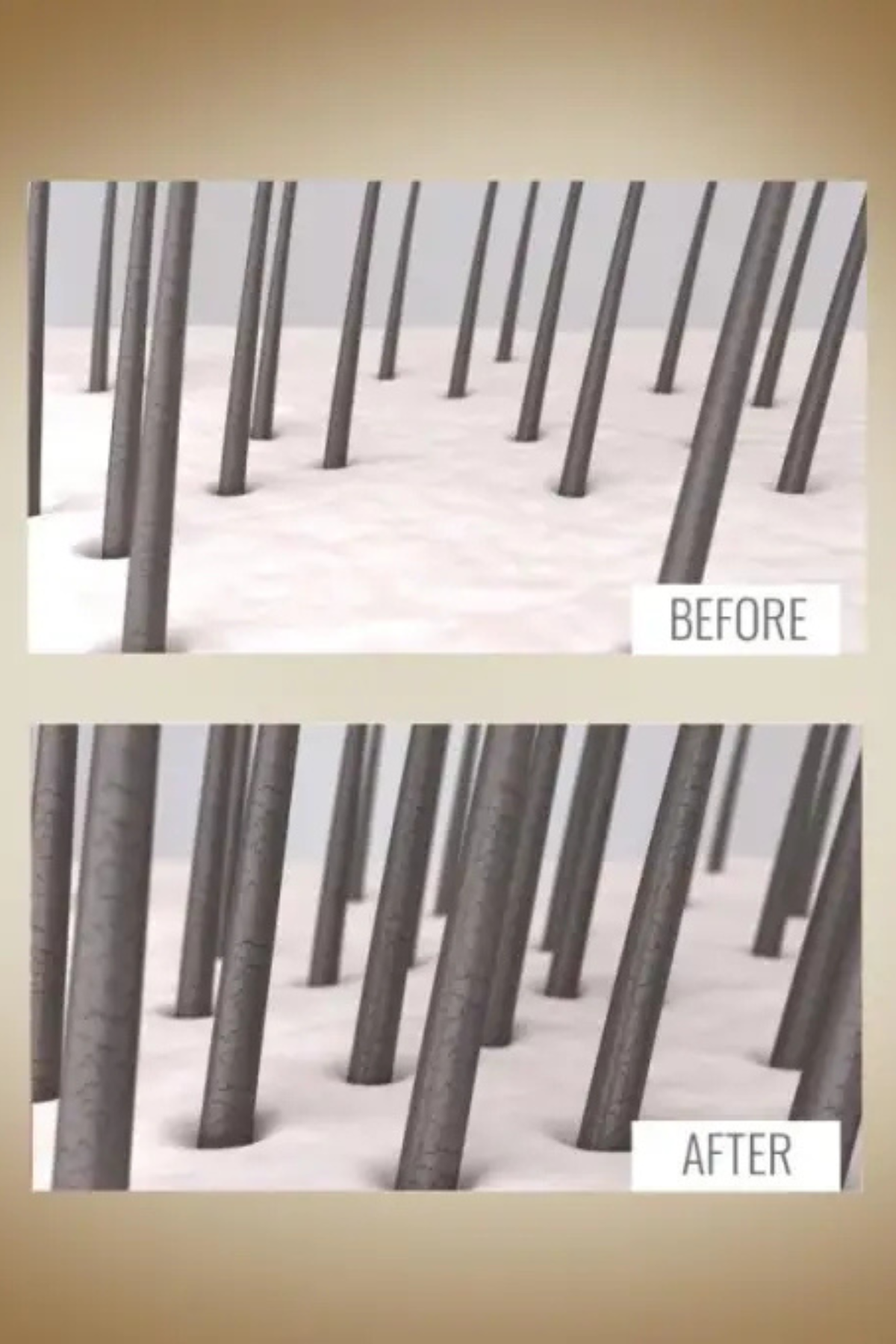 Tauro Pro Line Tüy Gelişimi Destek Dermacare Şampuan