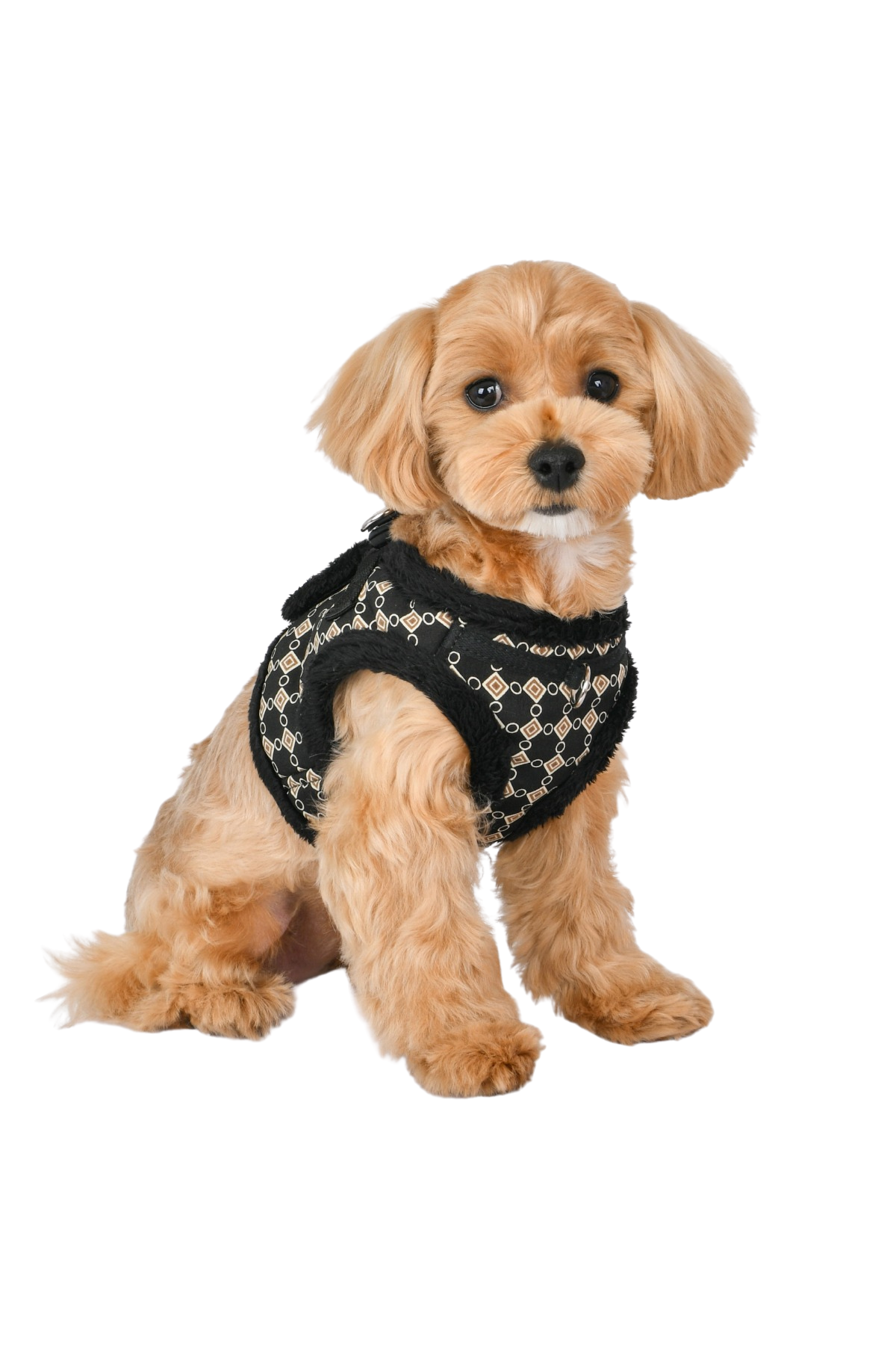 Puppia Jace Vest Köpek Göğüs Tasması - Siyah