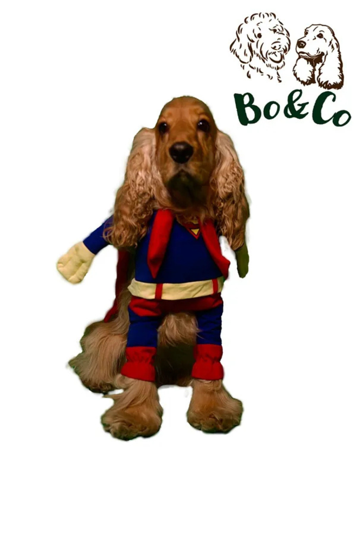 Bo&Co Superman Kostümü