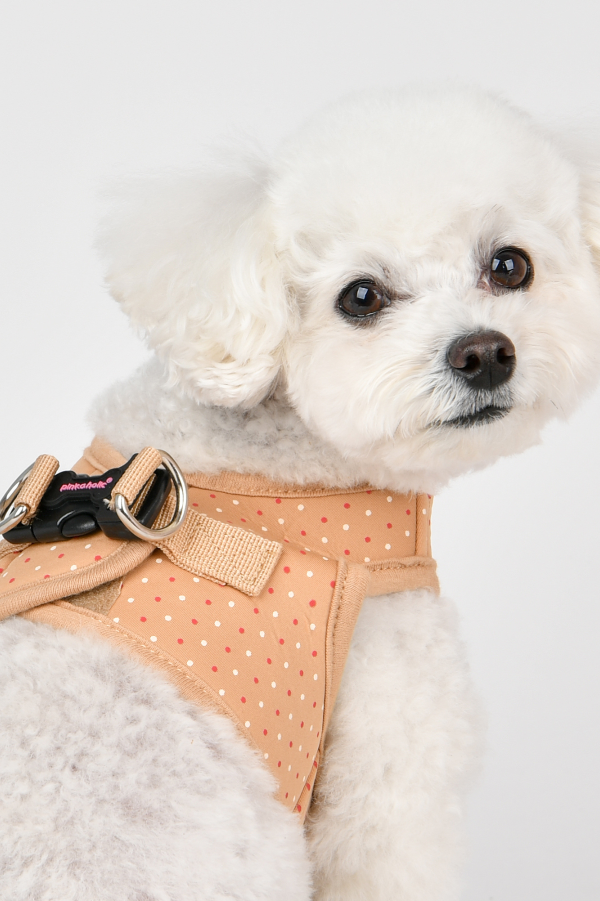 Pinkaholic New York Mila Harness B Göğüs Tasması Bej