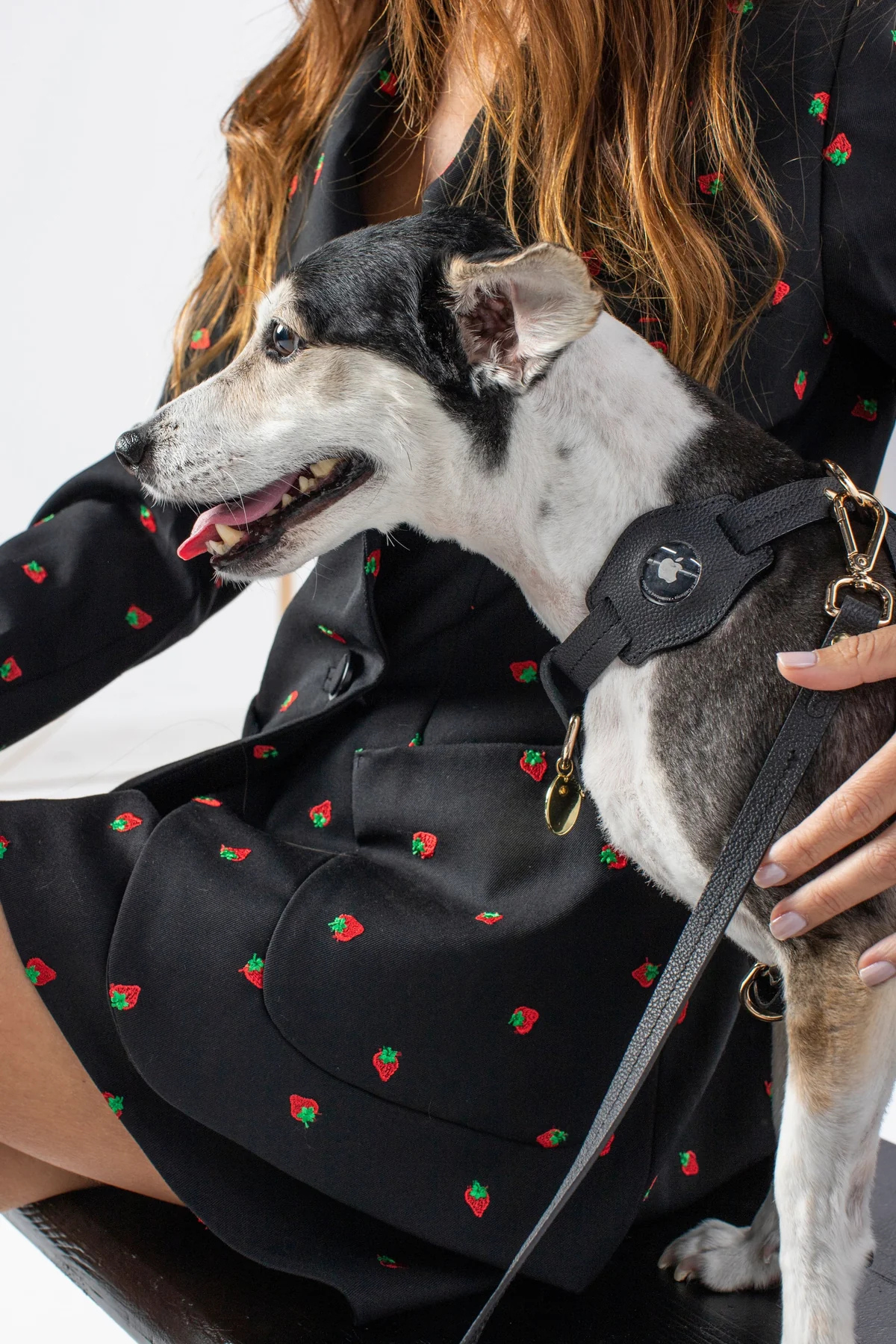 Zoe Pet Atelier Air Tag Kılıfı - Gece Siyahı