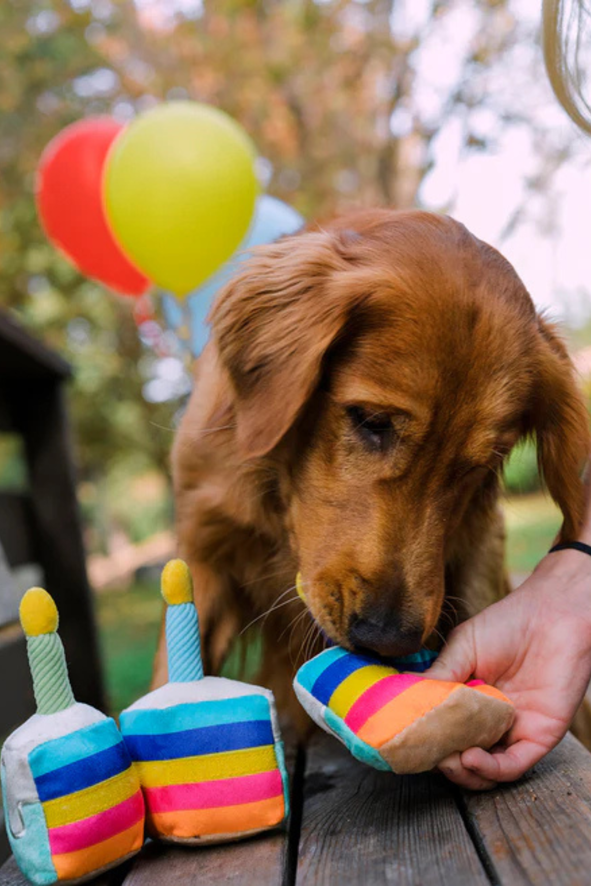 Play San Francisco Bone-appetit Cake Köpek Oyuncağı