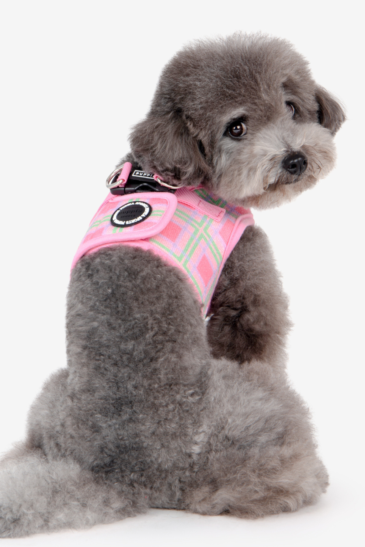 Jaylen Harness B Köpek Göğüs Tasması Pembe