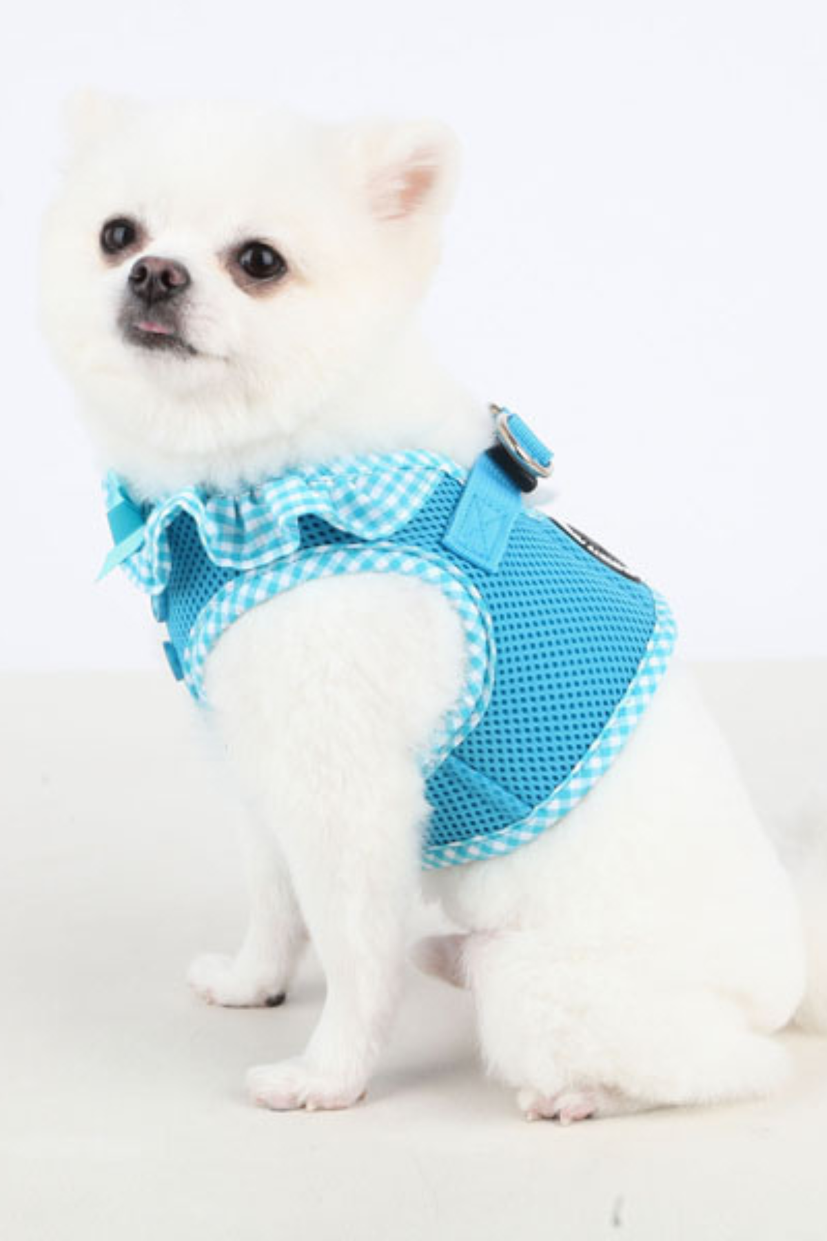 Vivien Harness B Köpek Göğüs Tasması Mavi