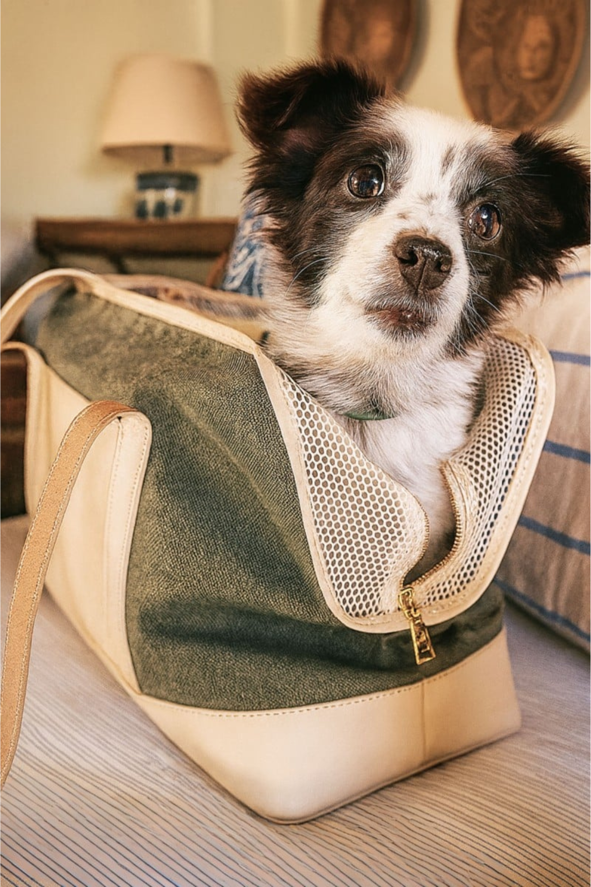 Cıty Carrier In Beıge