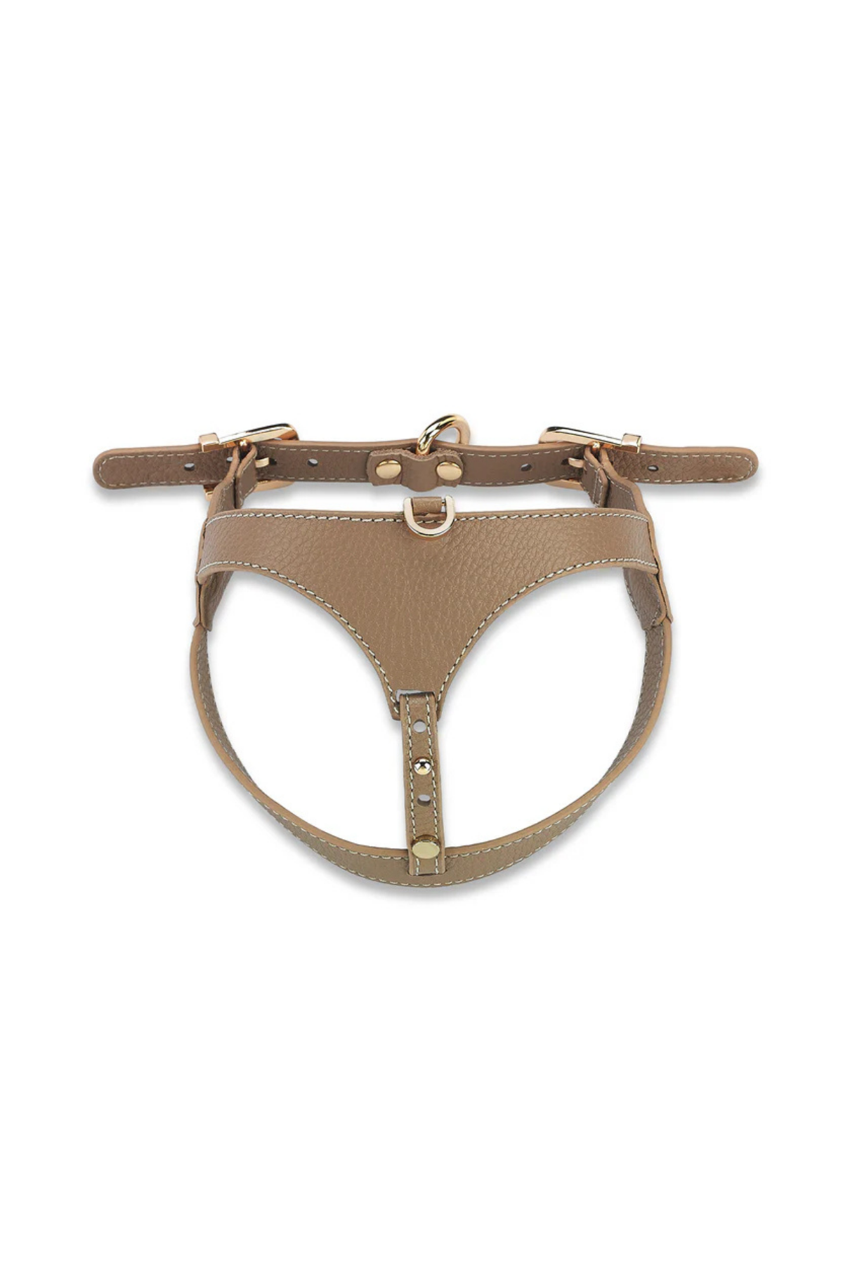 Lupinus Atelier - Cavalier Byssus x Yaga - Köpek Göğüs Tasması Vizon