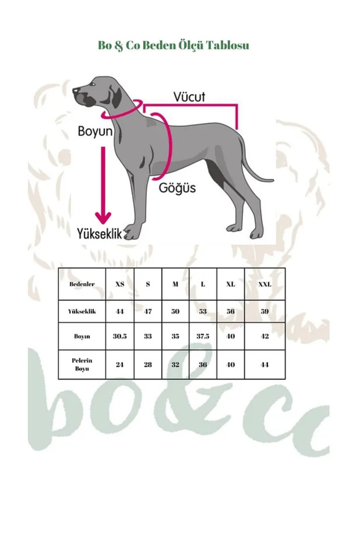 Bo&Co Superman Kostümü