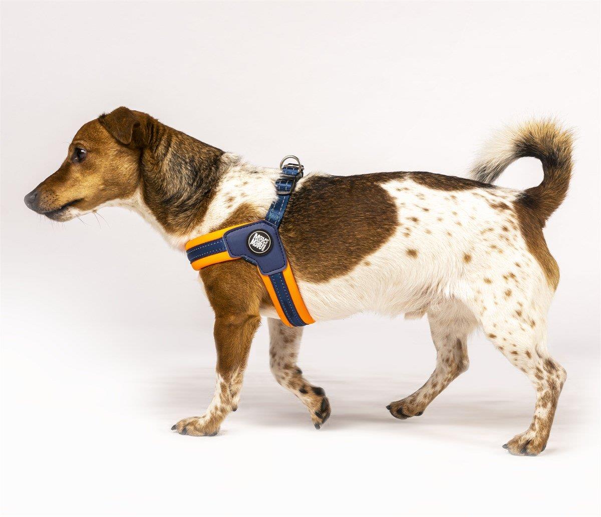 Max & Molly Matrix Orange Q-Fit Köpek Göğüs Tasması