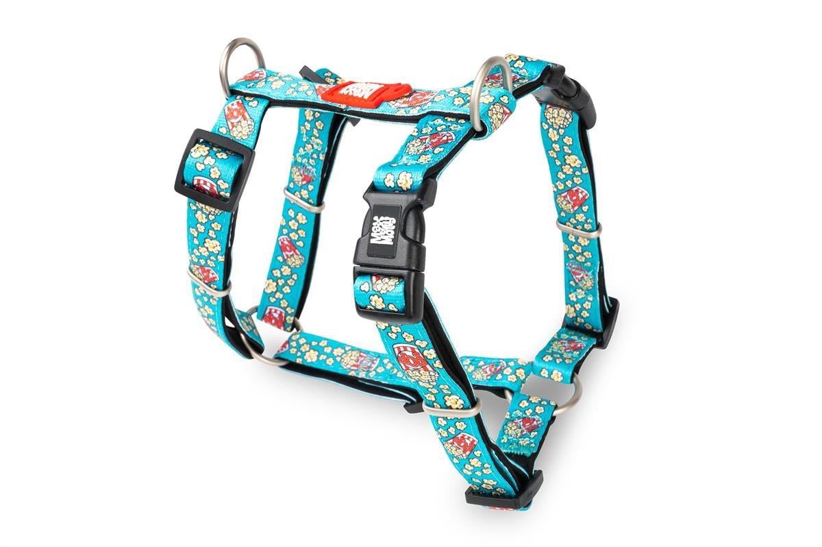 Max & Molly Popcorn Köpek Göğüs Tasması