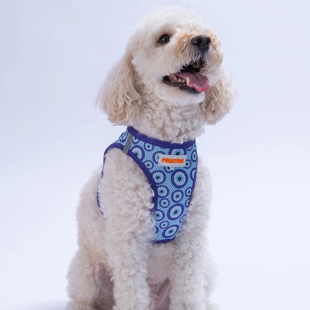 PawStar  Airmesh Charm Evil Eye Göğüs Tasması