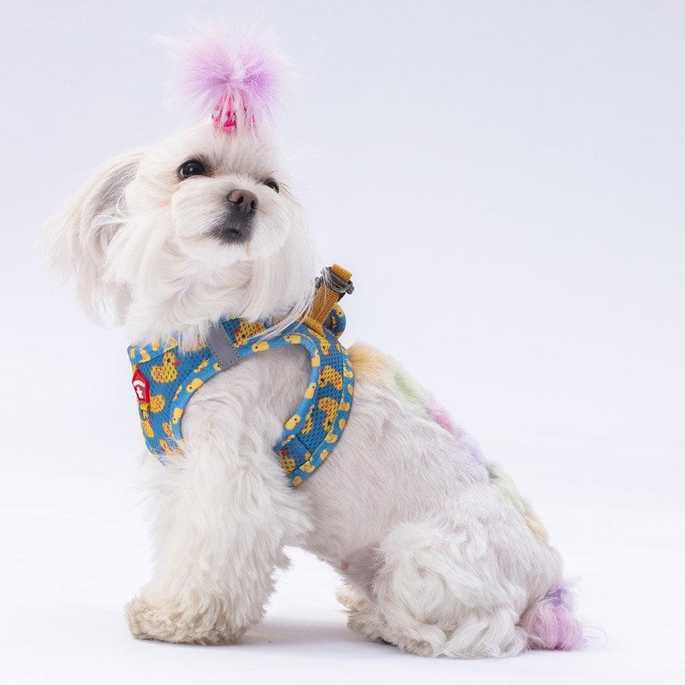 PawStar Airmesh Ducks Chest Collar