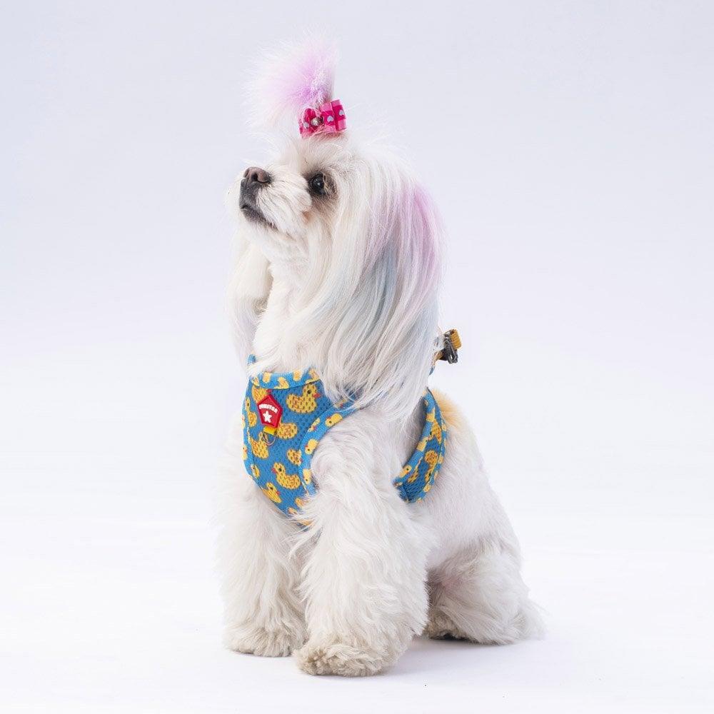 PawStar Airmesh Ducks Chest Collar