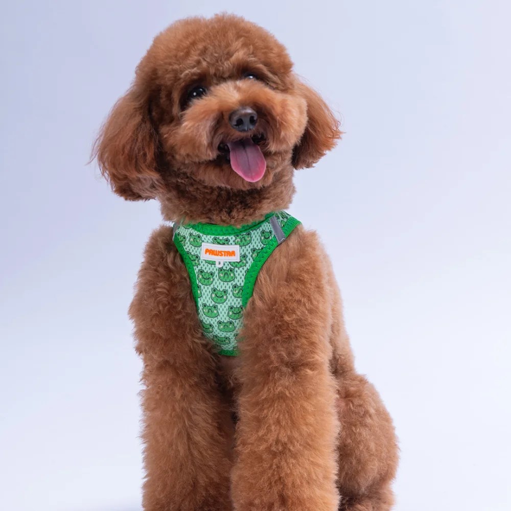 PawStar  Airmesh Frog Göğüs Tasması