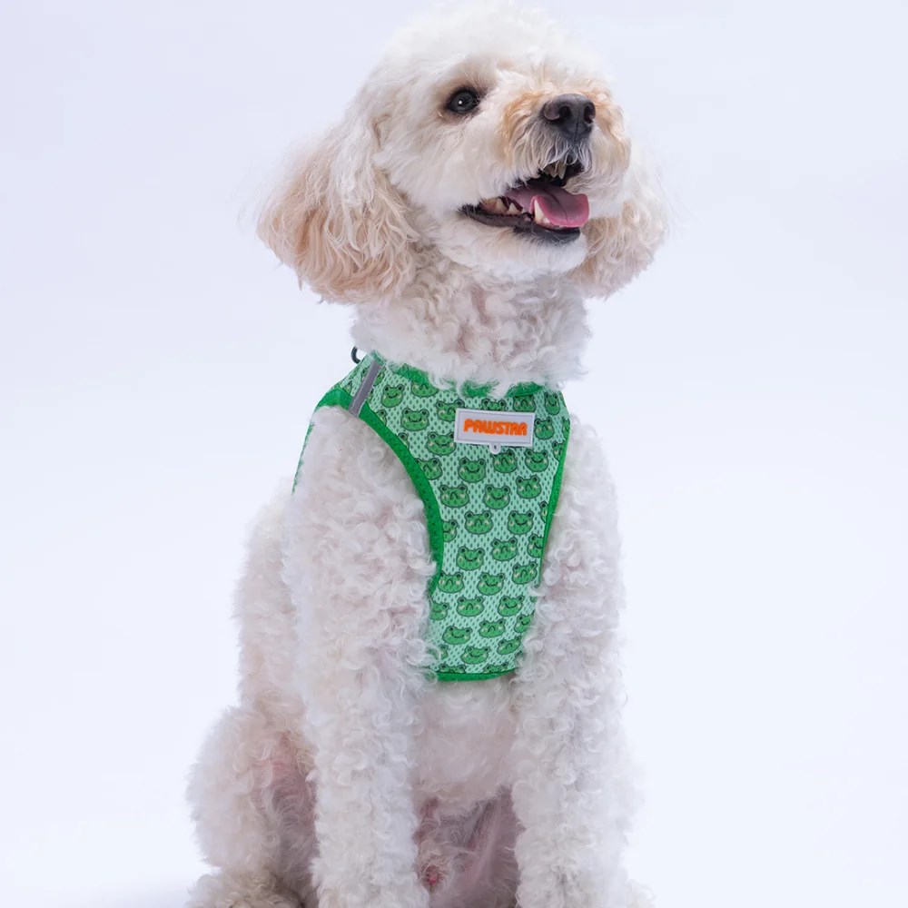 PawStar  Airmesh Frog Göğüs Tasması