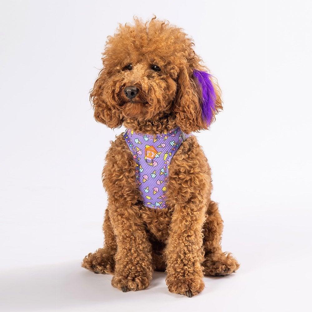 PawStar Airmesh Ice Cream Chest Collar