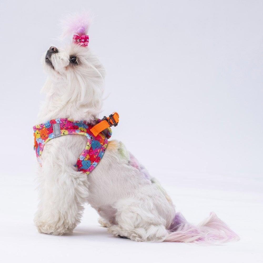 PawStar Airmesh Monsters Chest Collar