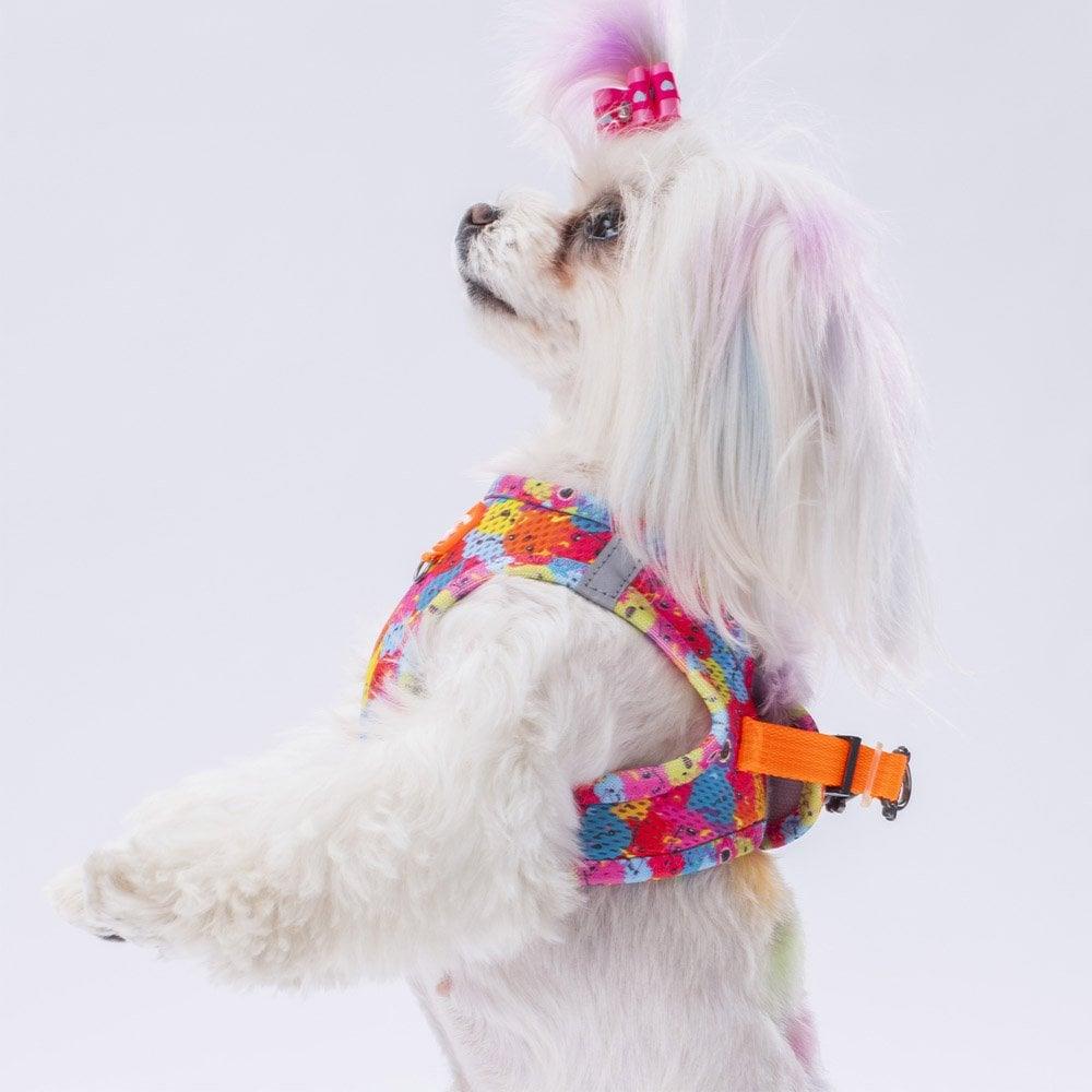PawStar Airmesh Monsters Chest Collar